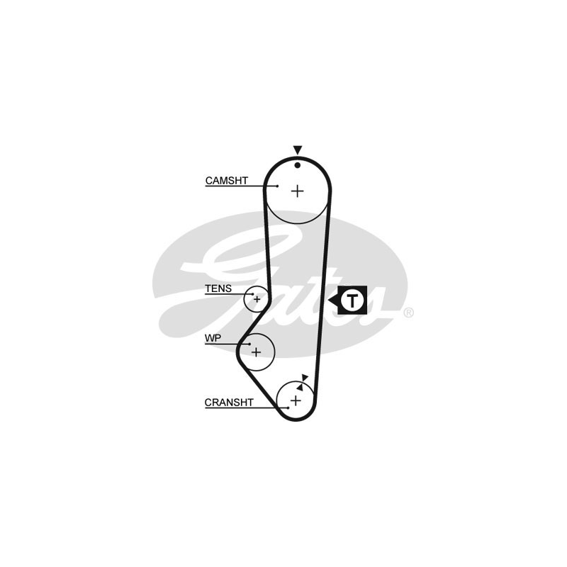 Cinghia/catena distribuzione - GATES