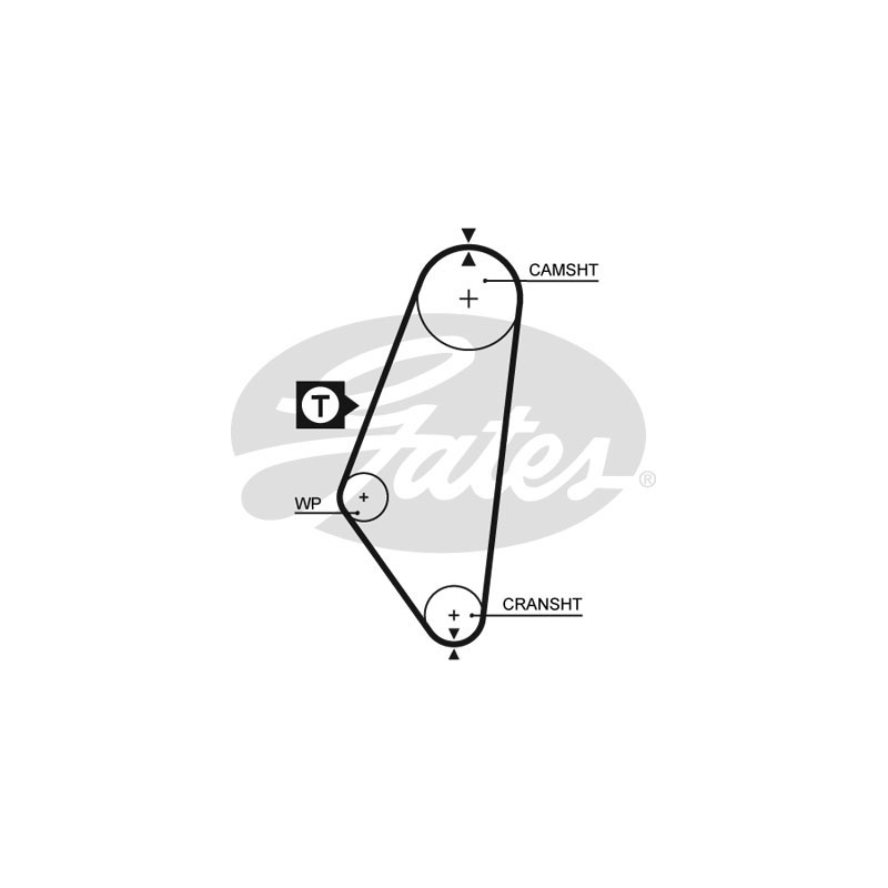 Cinghia/catena distribuzione - GATES