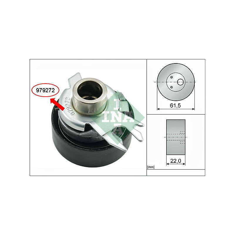 Tendicinghia distribuzione - INA