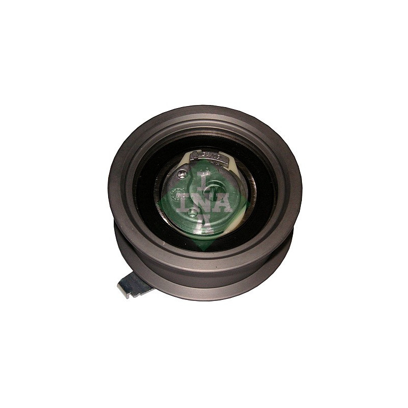 Tendicinghia distribuzione - INA