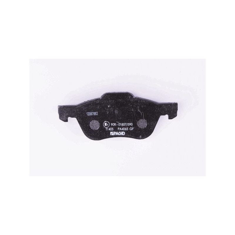 Pastiglie freno asse anteriore - PAGID