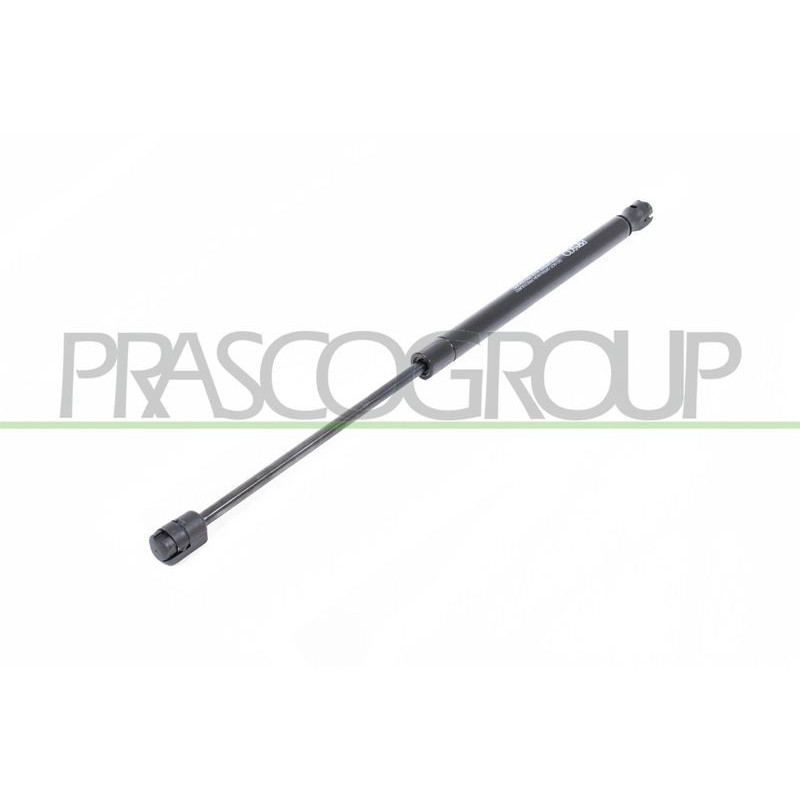 Pistoncino ammortizzatore - PRASCO