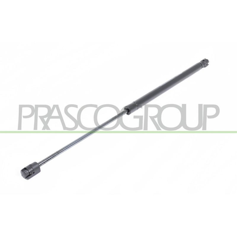 Pistoncino ammortizzatore - PRASCO