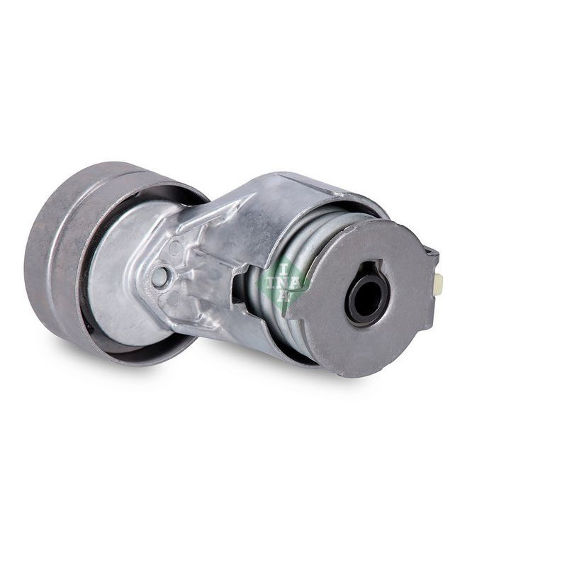 Tendicinghia trapezoidale - INA