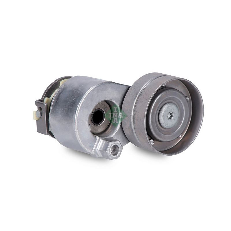 Tendicinghia trapezoidale - INA