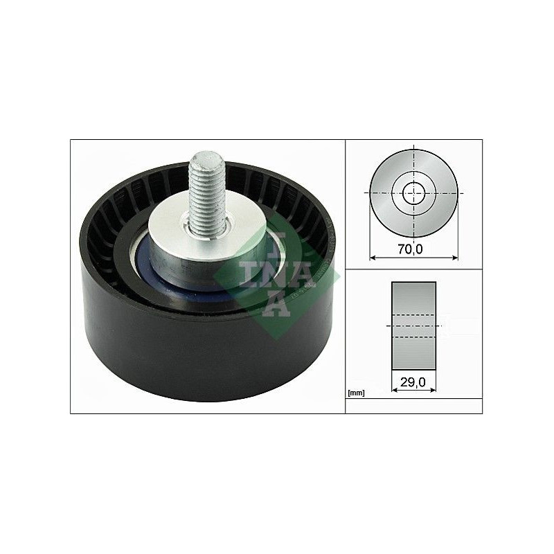 Tendicinghia trapezoidale - INA