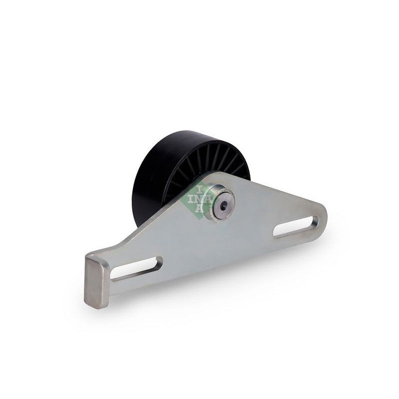 Tendicinghia trapezoidale - INA