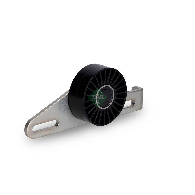 Tendicinghia trapezoidale - INA