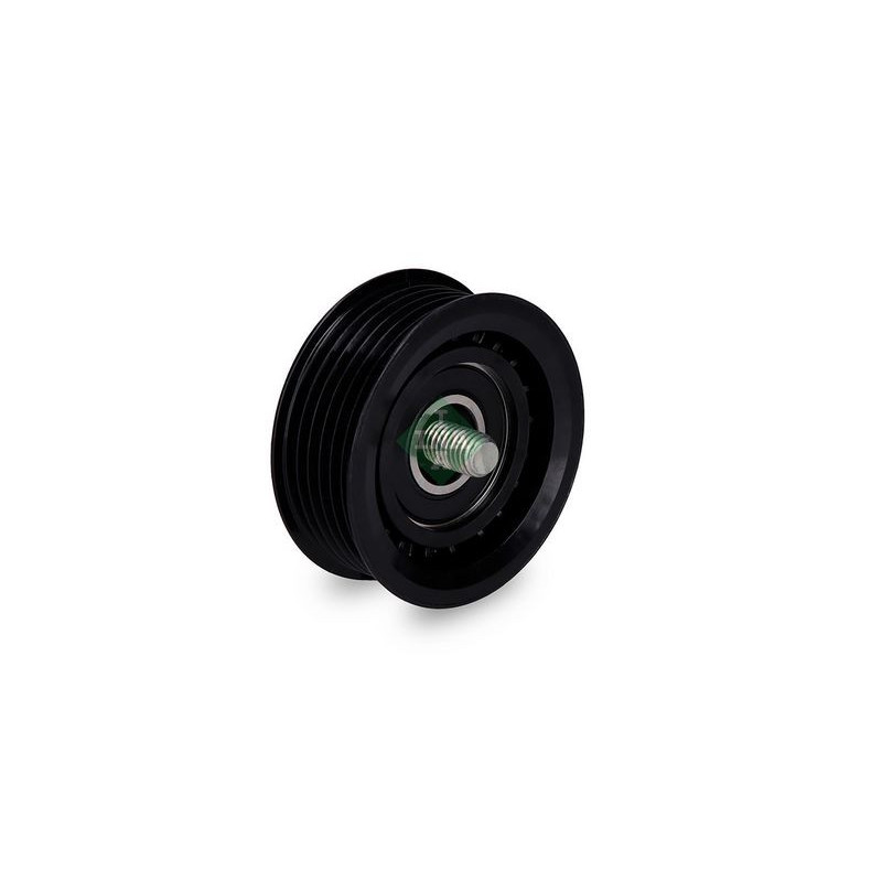 Tendicinghia trapezoidale - INA