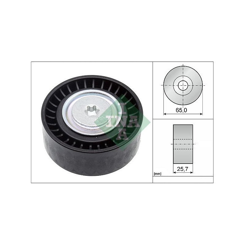 Tendicinghia trapezoidale - INA