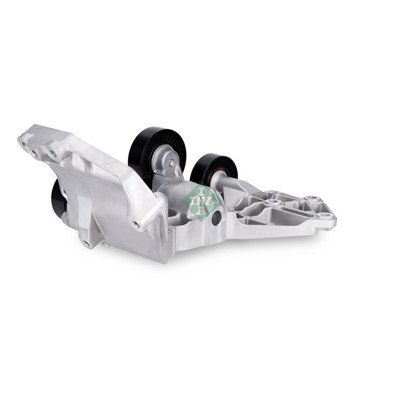 Tendicinghia trapezoidale - INA