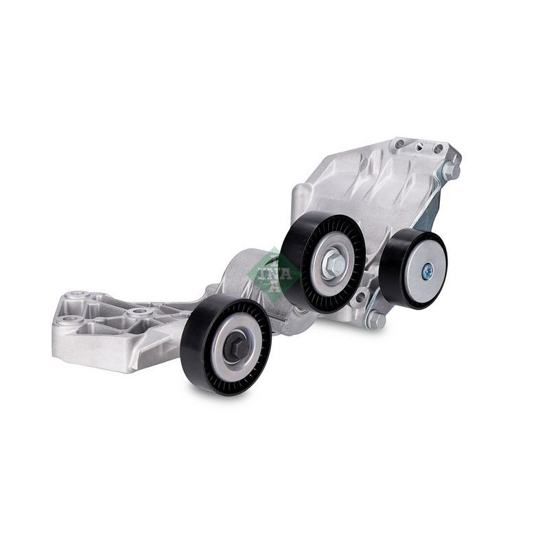 Tendicinghia trapezoidale - INA