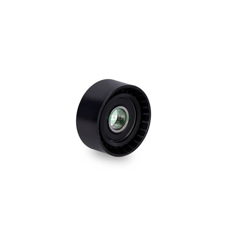 Tendicinghia trapezoidale - INA