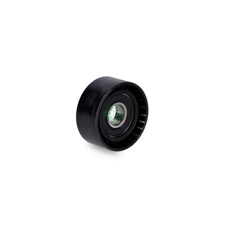 Tendicinghia trapezoidale - INA