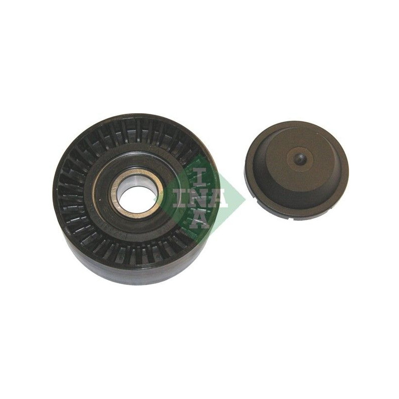 Tendicinghia trapezoidale - INA