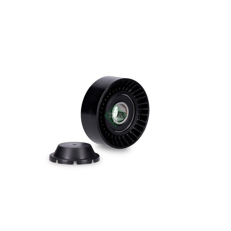 Tendicinghia trapezoidale - INA