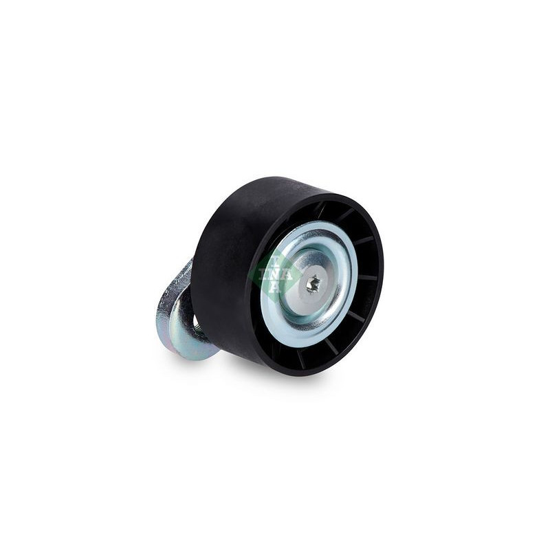 Tendicinghia trapezoidale - INA