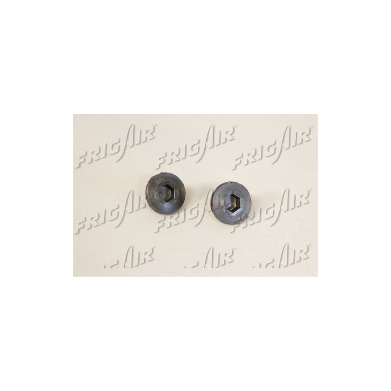 Radiatore acqua - FRIG AIR