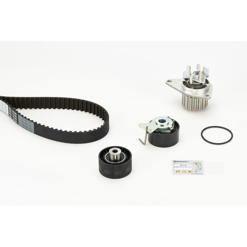 Cinghia/catena distribuzione - CONTITECH