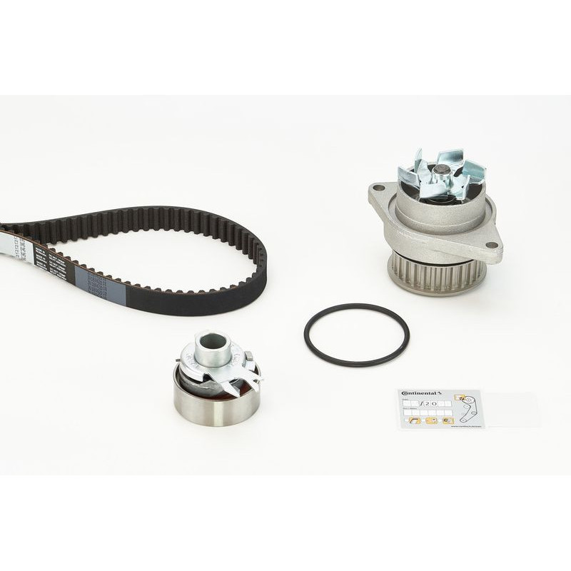 Cinghia/catena distribuzione - CONTITECH