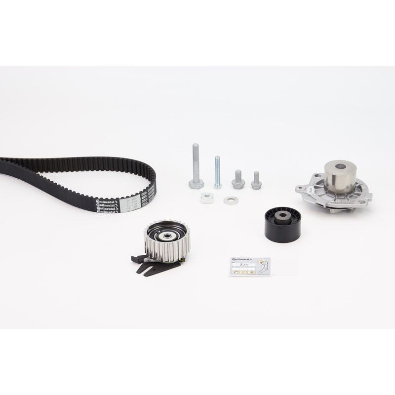 Cinghia/catena distribuzione - CONTITECH