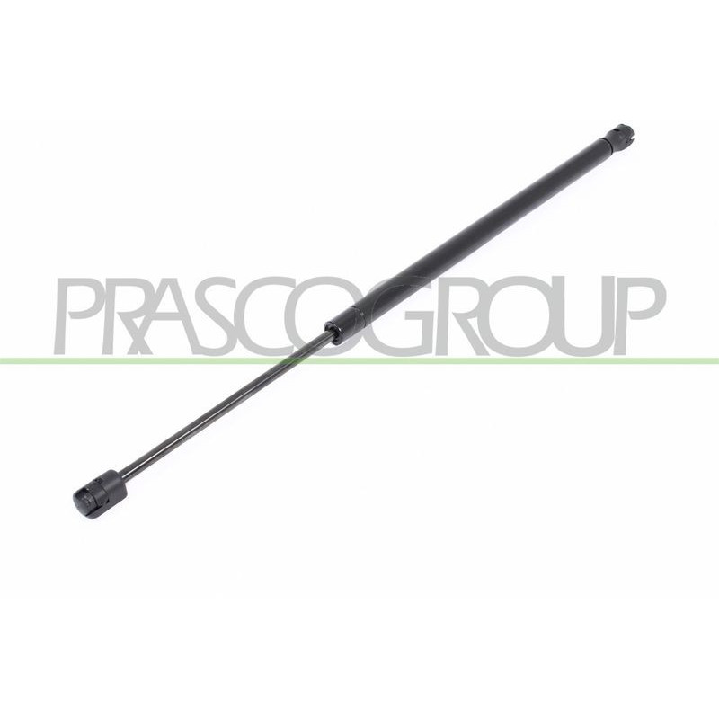 Pistoncino ammortizzatore - PRASCO