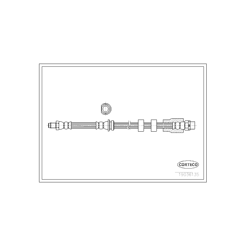 Flessibile freno asse posteriore - CORTECO