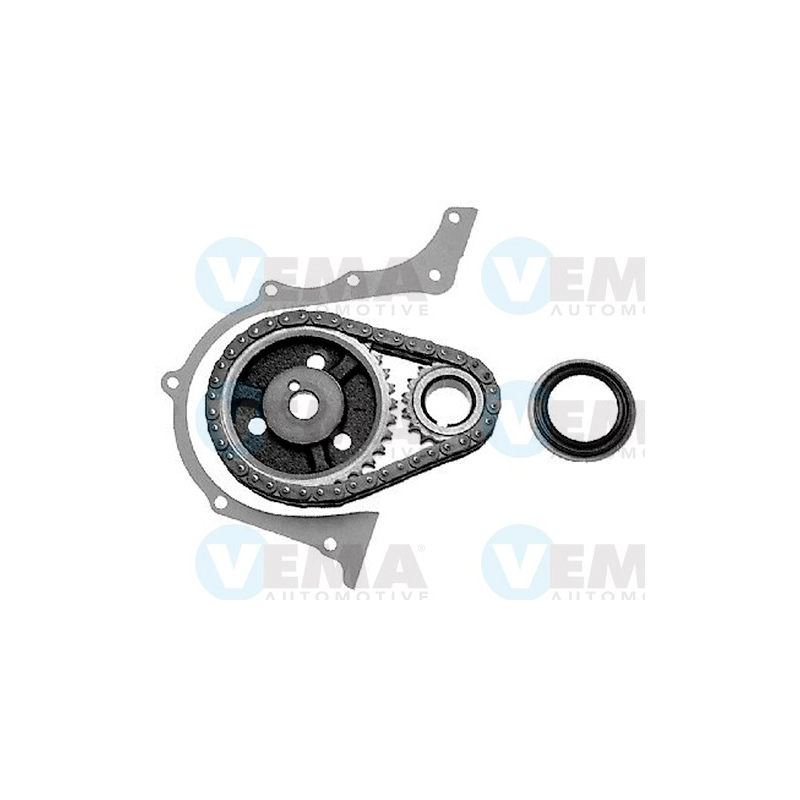 Kit distribuzione - VEMA