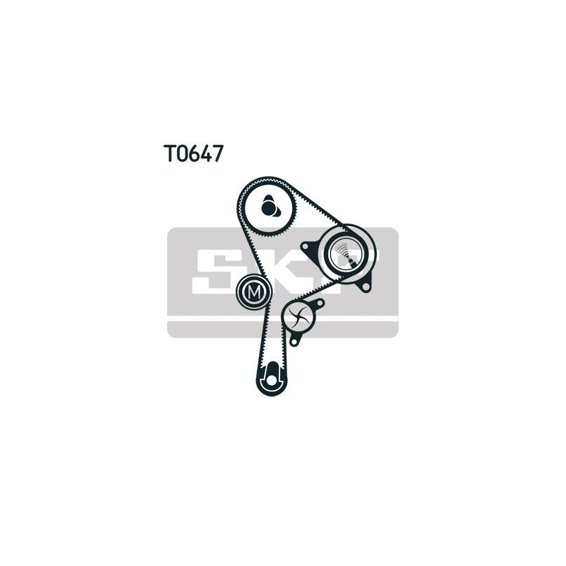 Cinghia/catena distribuzione - SKF