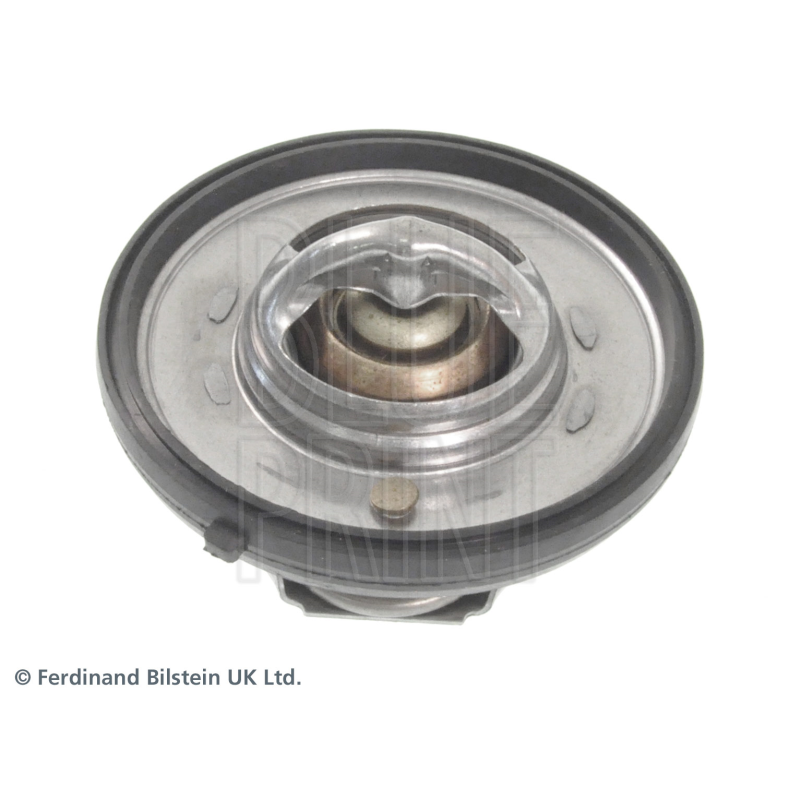 Termostato raffreddamento - BLUE PRINT