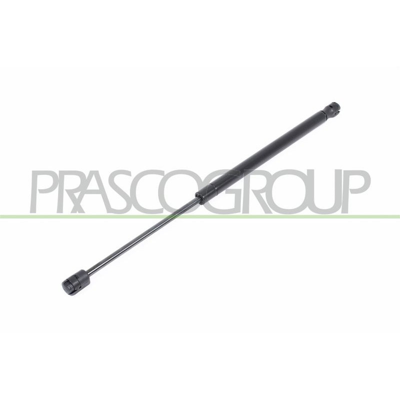 Pistoncino ammortizzatore - PRASCO