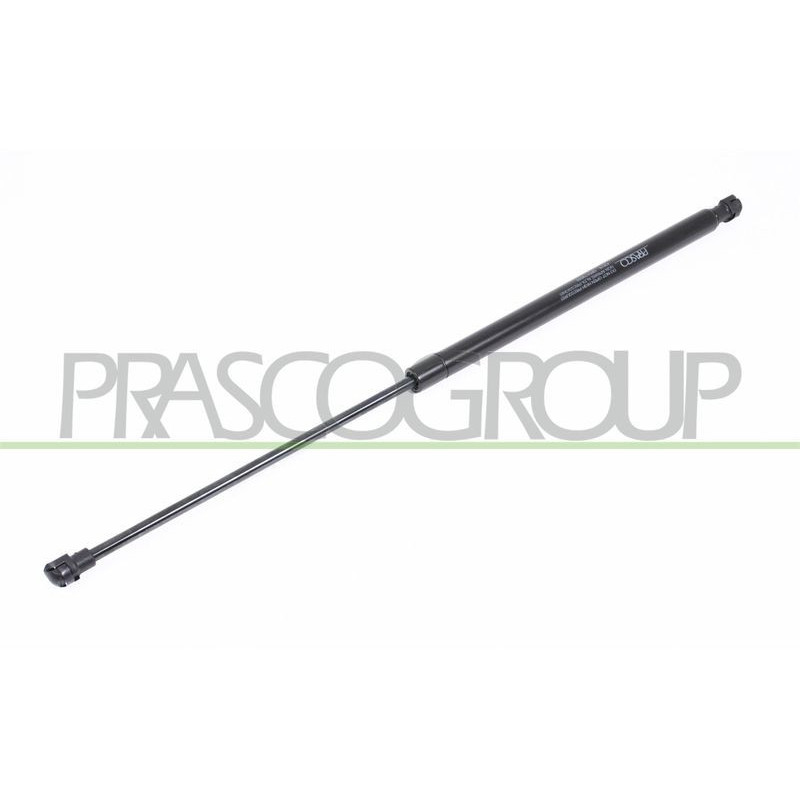 Pistoncino ammortizzatore - PRASCO