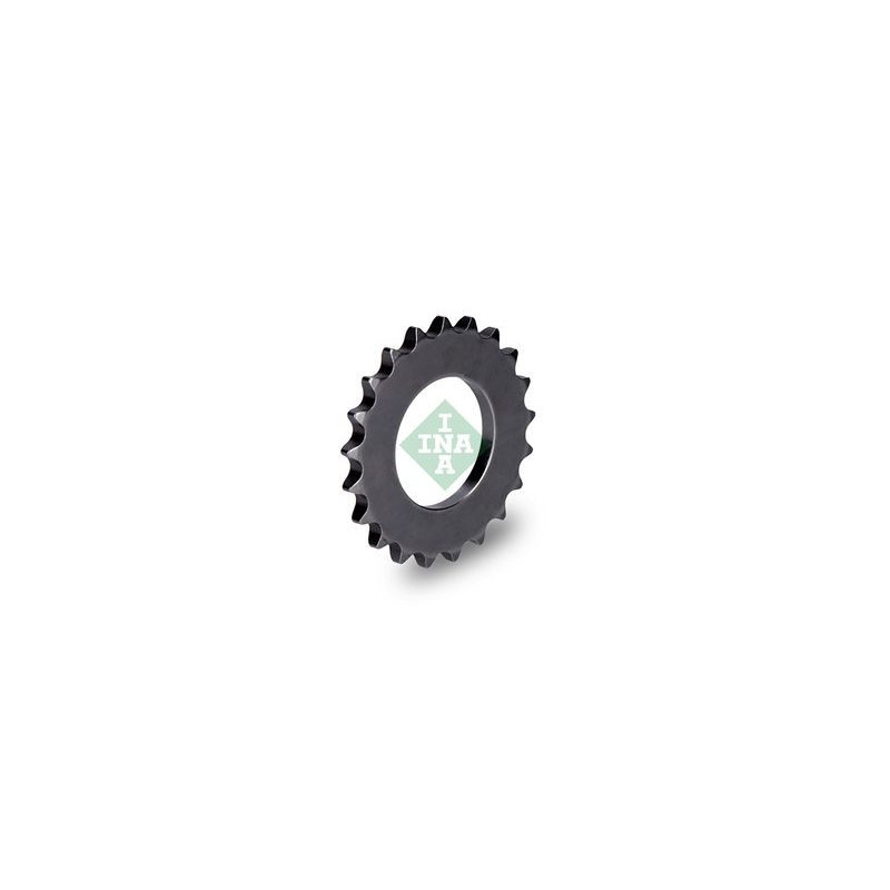 Paraolio albero motore - INA