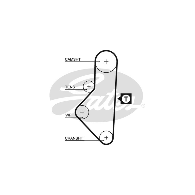 Cinghia/catena distribuzione - GATES