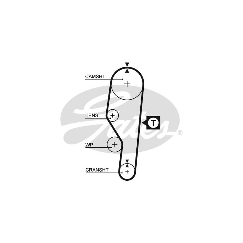 Cinghia/catena distribuzione - GATES