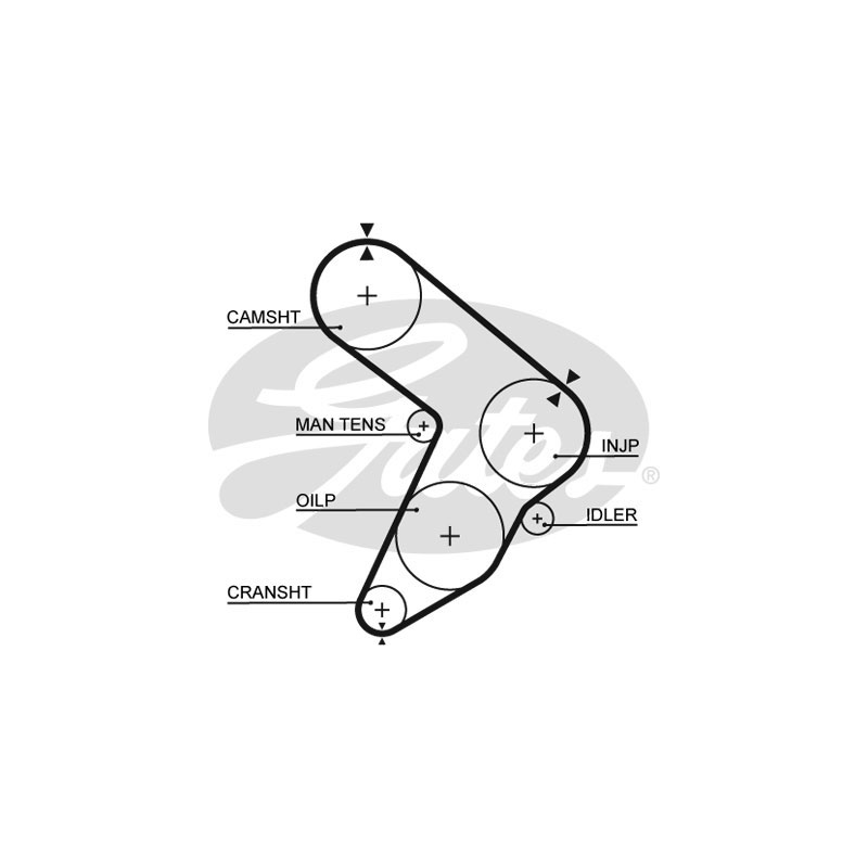 Cinghia/catena distribuzione - GATES