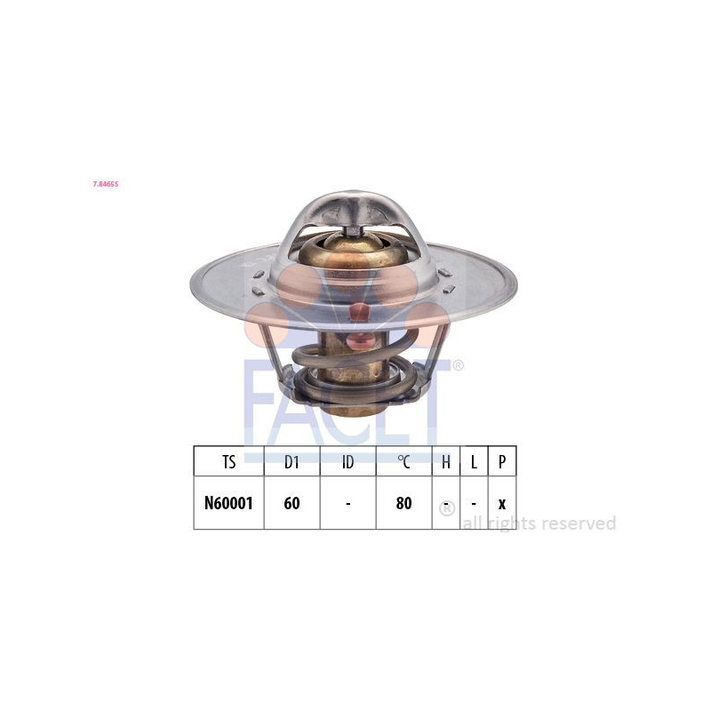 Termostato raffreddamento - FACET