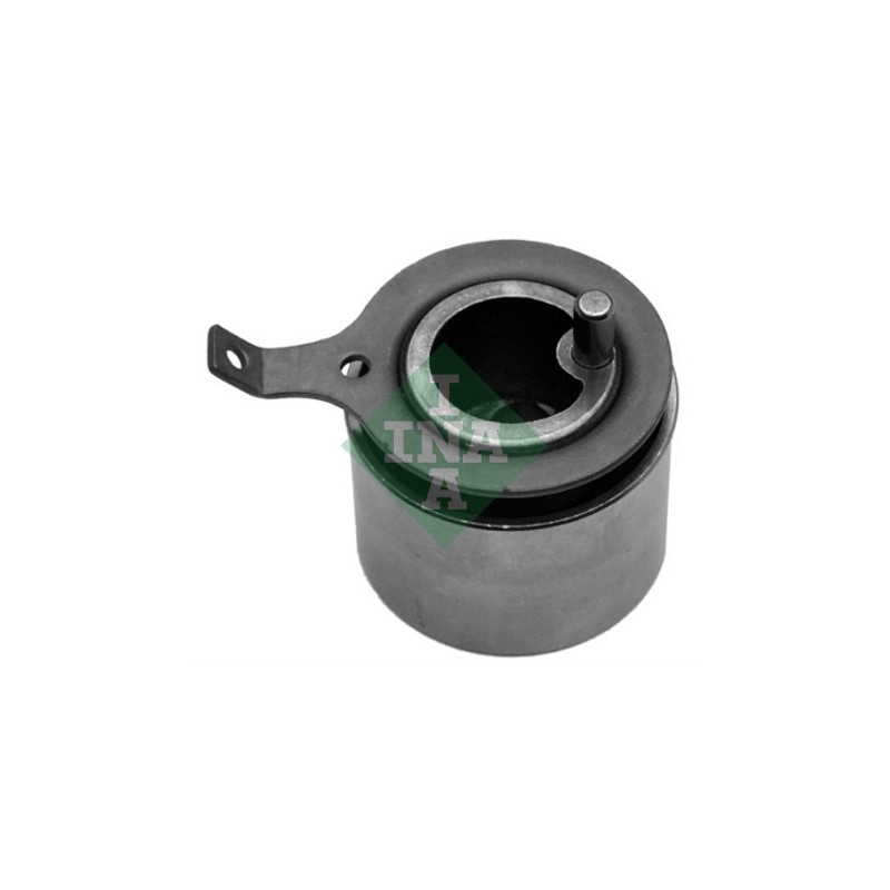 Tendicinghia distribuzione - INA