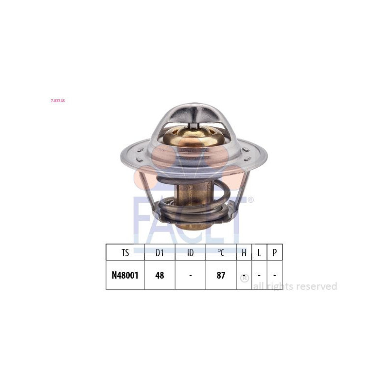 Termostato raffreddamento - FACET