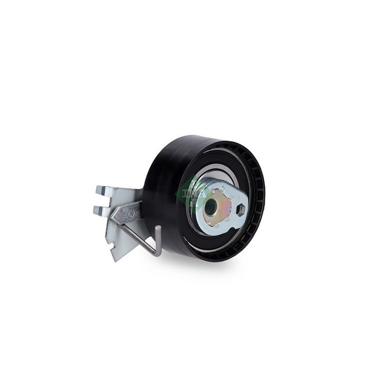 Tendicinghia distribuzione - INA