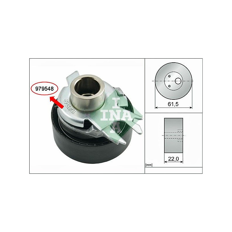 Tendicinghia distribuzione - INA