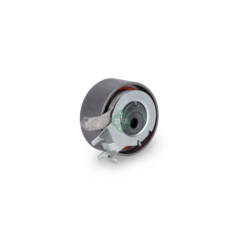 Tendicinghia distribuzione - INA