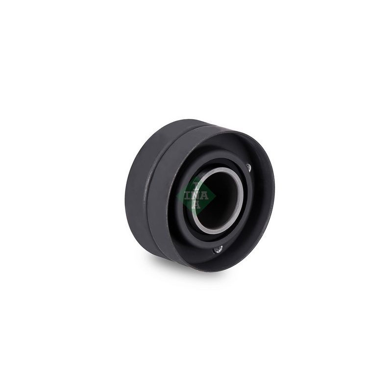 Tendicinghia distribuzione - INA