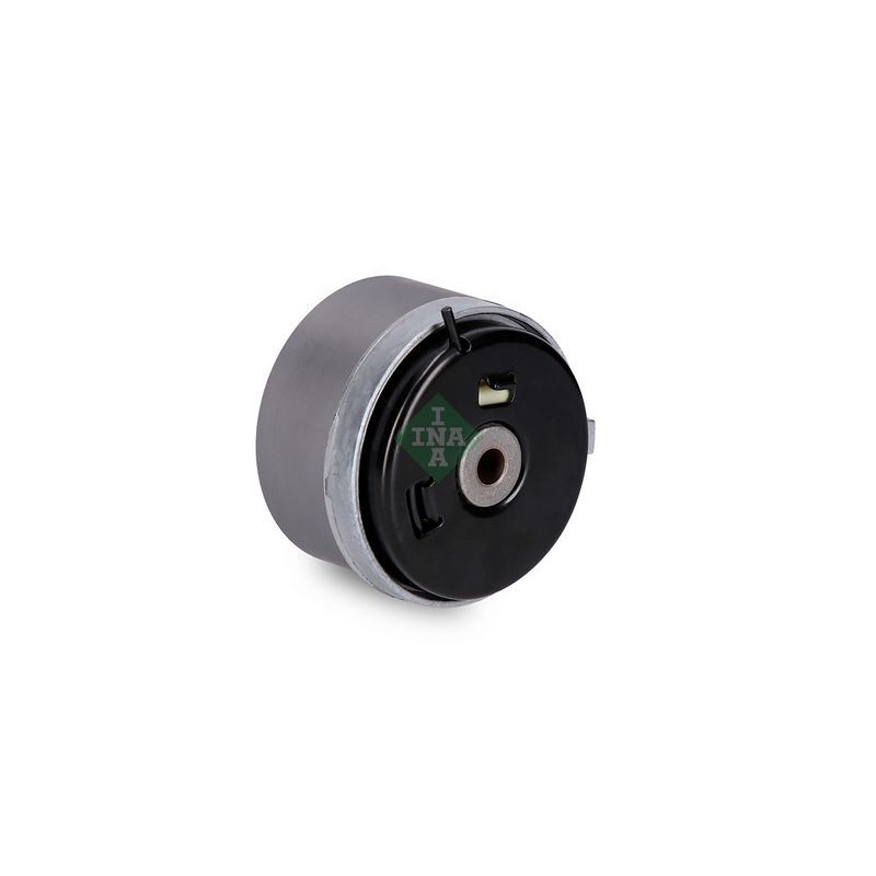 Tendicinghia distribuzione - INA