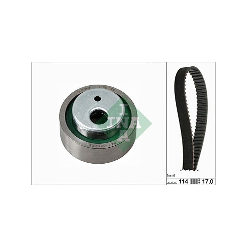 Kit distribuzione - INA