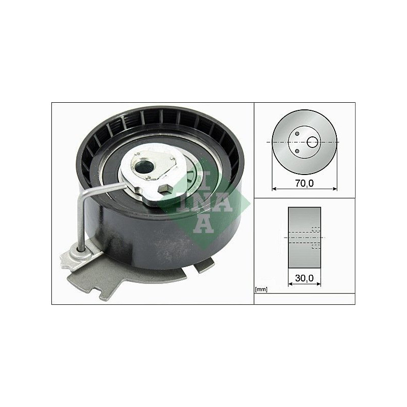 Tendicinghia distribuzione - INA