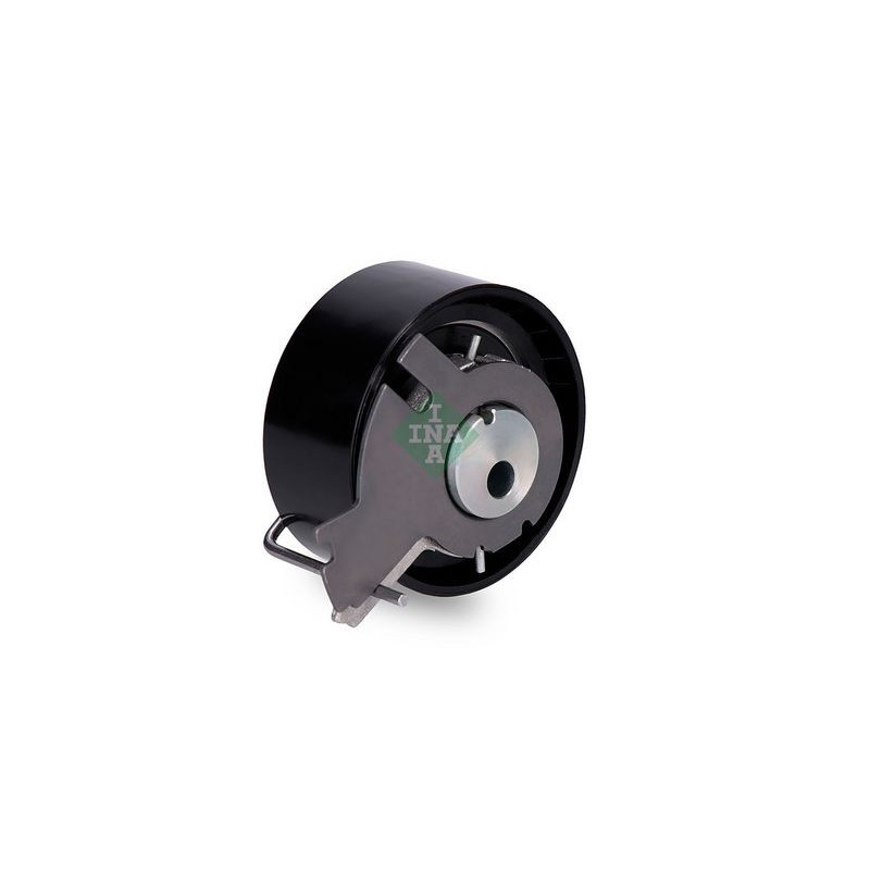 Tendicinghia distribuzione - INA