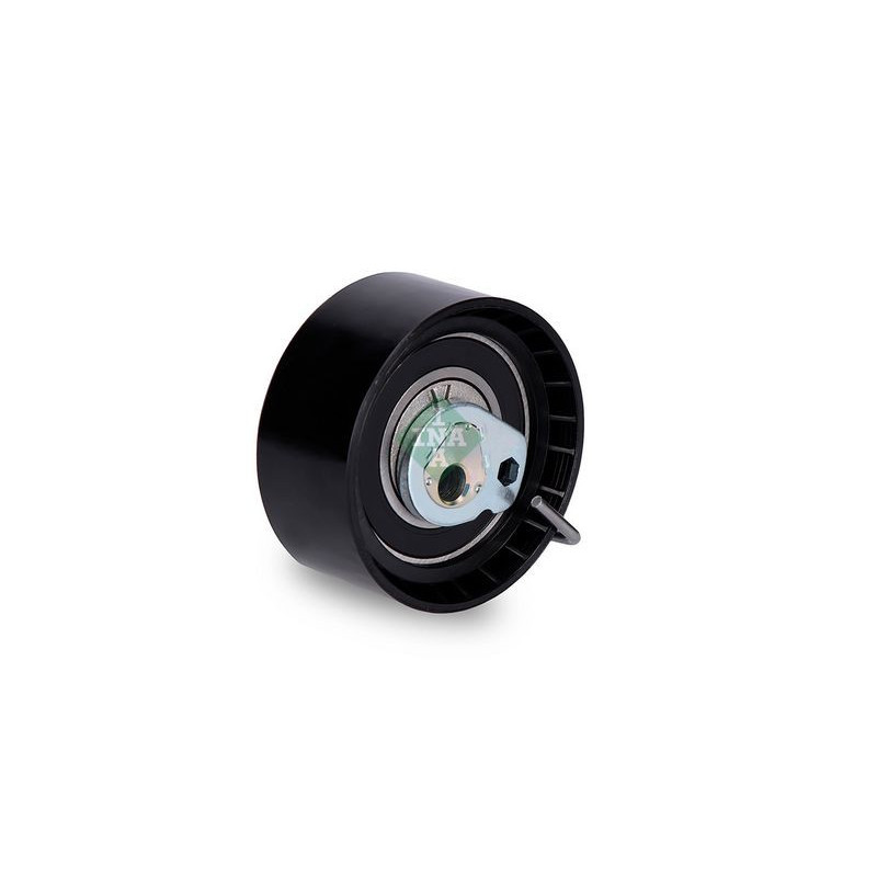 Tendicinghia distribuzione - INA