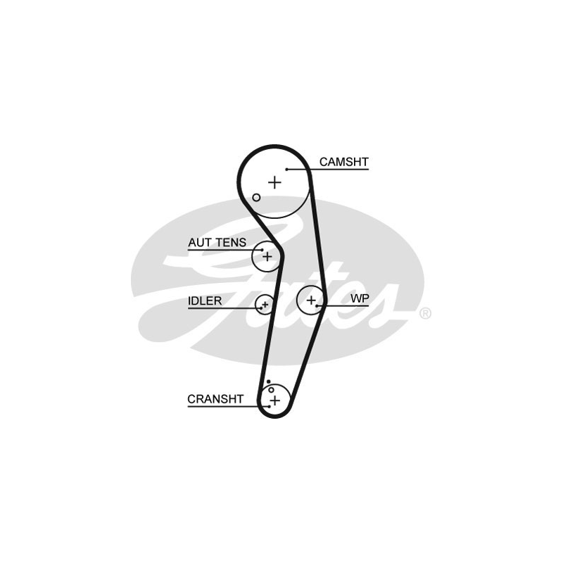 Cinghia/catena distribuzione - GATES
