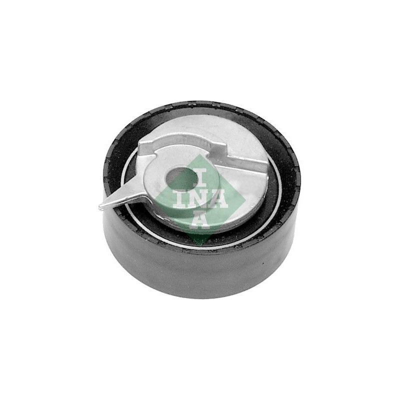 Tendicinghia distribuzione - INA